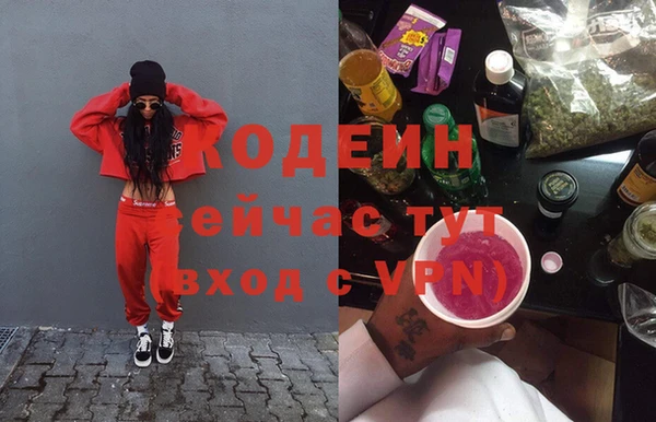 гашик Киренск